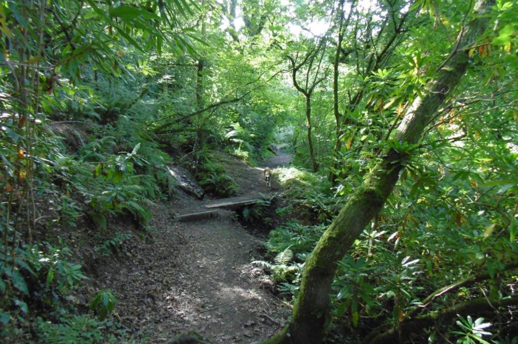 فيلا Bucklands At Bideford Bay Bucks Mills المظهر الخارجي الصورة