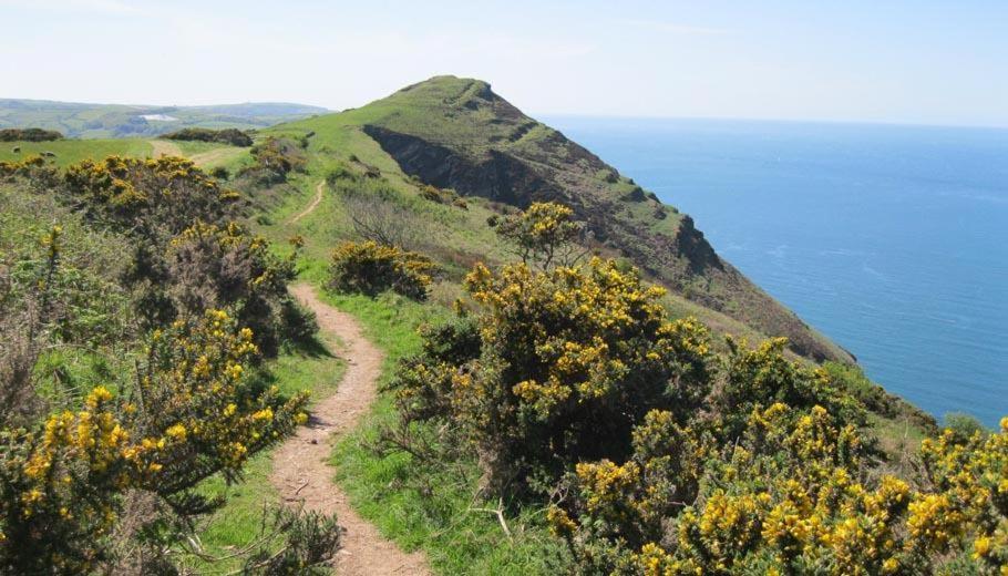 فيلا Bucklands At Bideford Bay Bucks Mills المظهر الخارجي الصورة